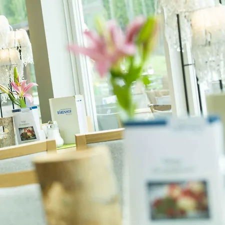 Hotel Gesundheitszentrum Baerenhof 3*