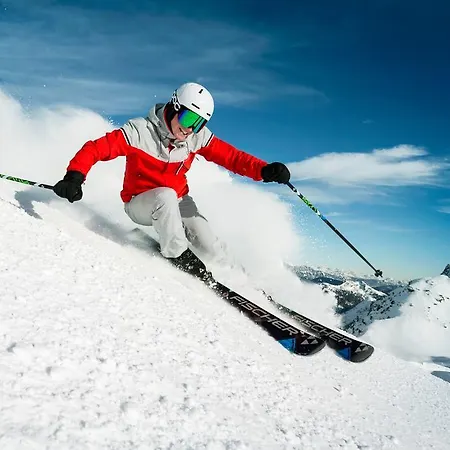 Hotell Gesundheitszentrum Baerenhof 3*