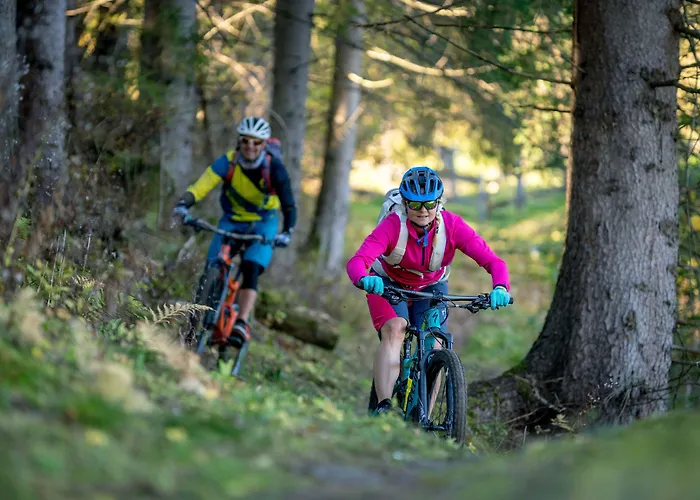 Otel Gesundheitszentrum Baerenhof 3*