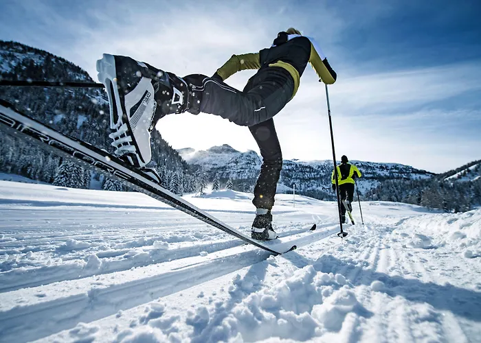 Otel Gesundheitszentrum Baerenhof