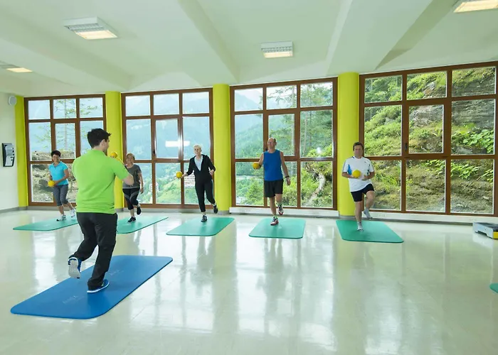 Otel Gesundheitszentrum Baerenhof